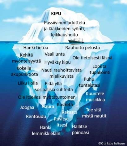 Retrainpainverkkokurssi Yksilöllistä perehdytystä uusille lääkäreille Kipuluento kaikille tth:n