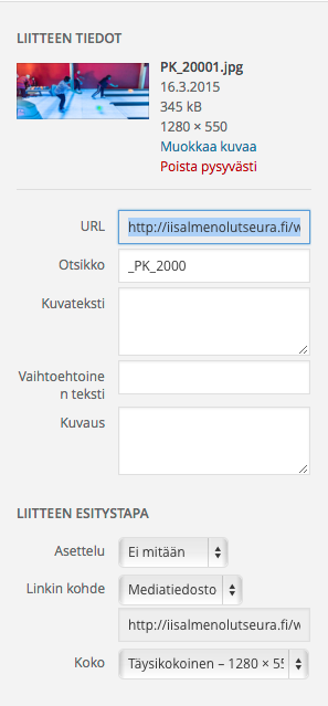 Kirjoittaa kuvatekstin, määrittää