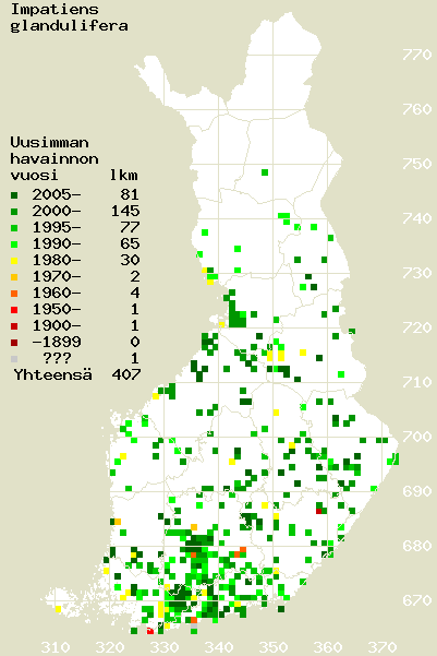 22 Jättipalsami on levinnyt viimeisen 10 vuoden aikana