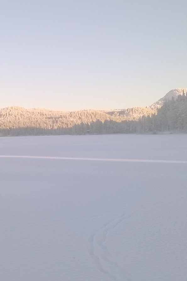Erämaa Kuusamon pilkkiviikkko 8.4.-14.4. 2017 KISAOHJELMA la 8.4. klo 12-17 Joukamojärvi su 9.4. klo 10-13 Kirkkolahti su 9.4. klo 16-19 Tolpanniemi ma 10.4. klo 11-16 Penikkajärvi ti 11.4. klo 10-13 Sukkalampi ti 11.