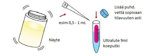 Liite 1 4 (11) Askel 2 QGO-M XLPD catp analyysi QGO-M XLPD solu ATP (catp) analyysi mittaa ATP konsentraatioita vain elävistä soluista.