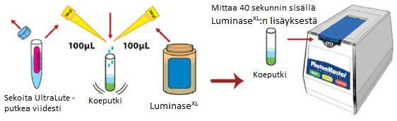 Liite 1 9 (11) Huom! Jos RLU catp arvo on pienempi tai yhtäsuuri kuin 10, liuos on laitteen mittausrajojen alapuolella.