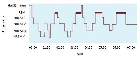 viimeinen on kaikista syvin hidasaaltoinen uni (slow wave stage, SWS). Tämän unenvaiheen aikana EEG-käyrän amplitudi on pitkä ja taajuus matala. Suurin osa alkuyön unesta on NREM-unta.