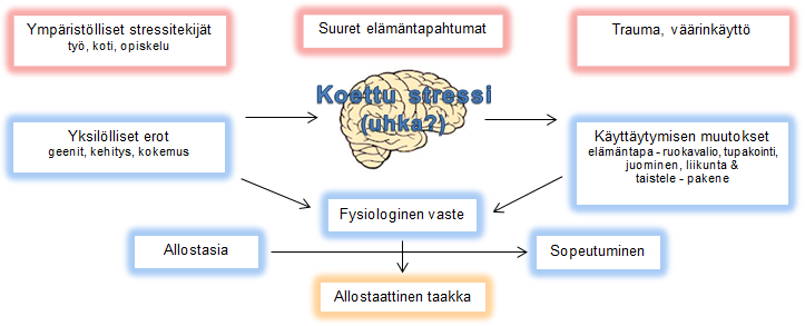 stressin ajoituksesta, kestosta, geenien vuorovaikutuksesta ja aikaisemmasta tai sen hetkisestä altistumisesta muille stressitekijöille.