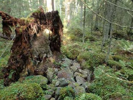 7 Lähteet Niukkanen, Marianna 2009. Historiallisen ajan kiinteät muinaisjäännökset tunnistaminen ja suojelu.