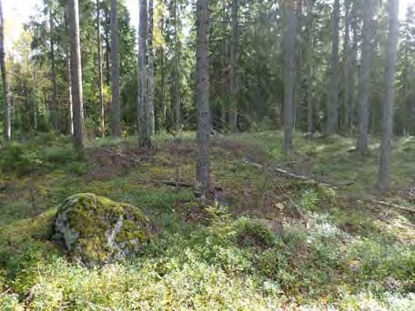 8 Muinaisjäännökset PADASJOKI JUNTINKORPI Mjtunnus: uusi kohde Ajoitus: historiallinen Laji: naurishaudat, röykkiöt, kaskirauniot Koordin: N: 6813 120 E: 400 679 Z: 121 ±3 m P: 6815 979 I: 3400 809