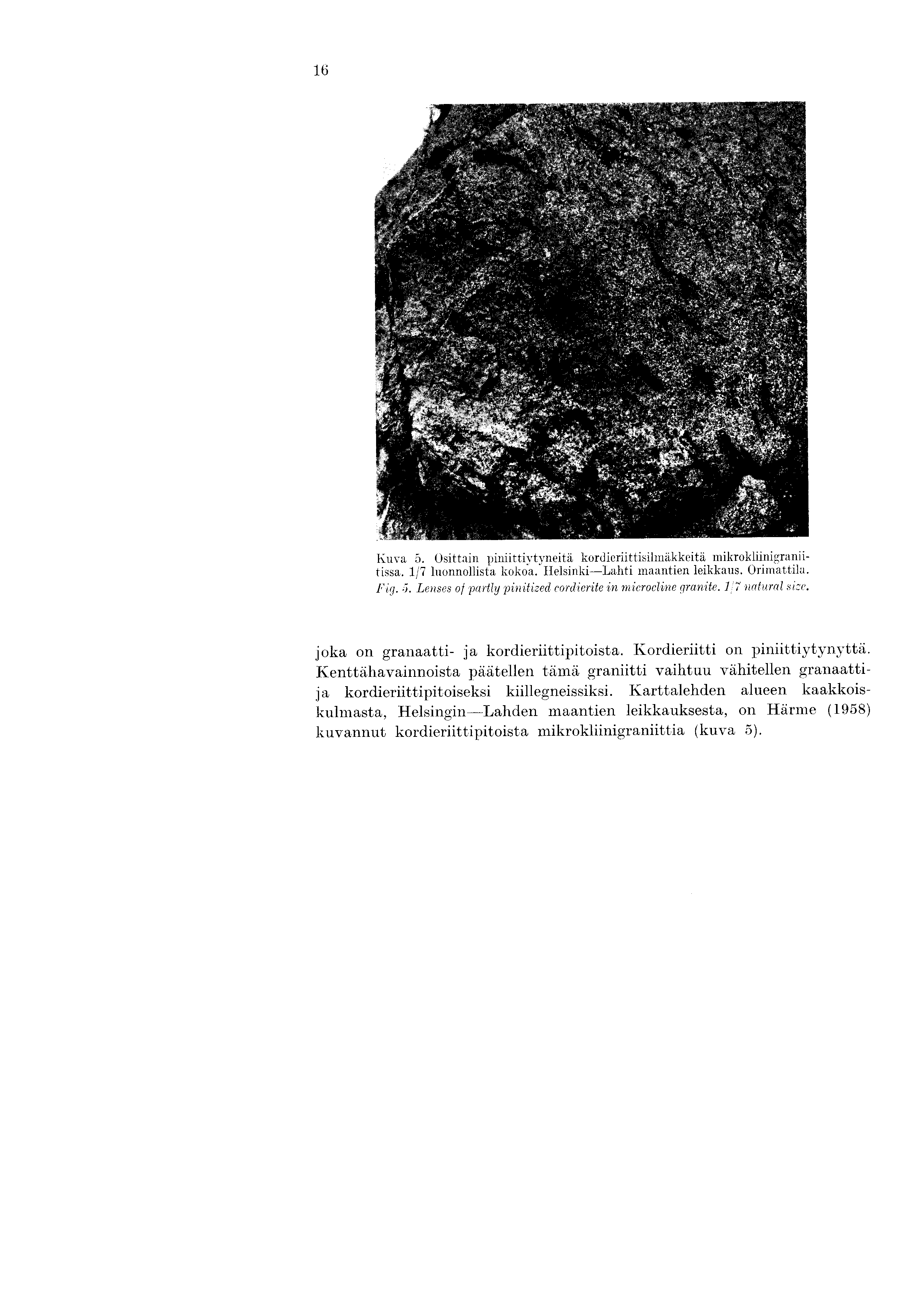 16 Kuva 5. Osittain piniittiytyneita kordieriittisil nakkeita mikrokliinigraniitissa. 1/7 luonnollista kokoa. Helsinki-Lahti maantien leikkaus. Orimattila. Fig. -i.