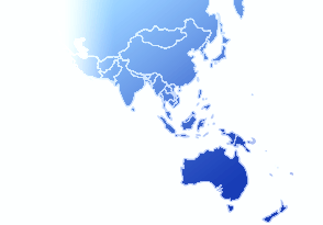 Kyselyn demografia Lokakuusta 2006 tammikuuhun 2007 kyselyyn osallistui 35 asiakasta ja kumppania Aasian, Tyynenmeren ja Japanin alueella.