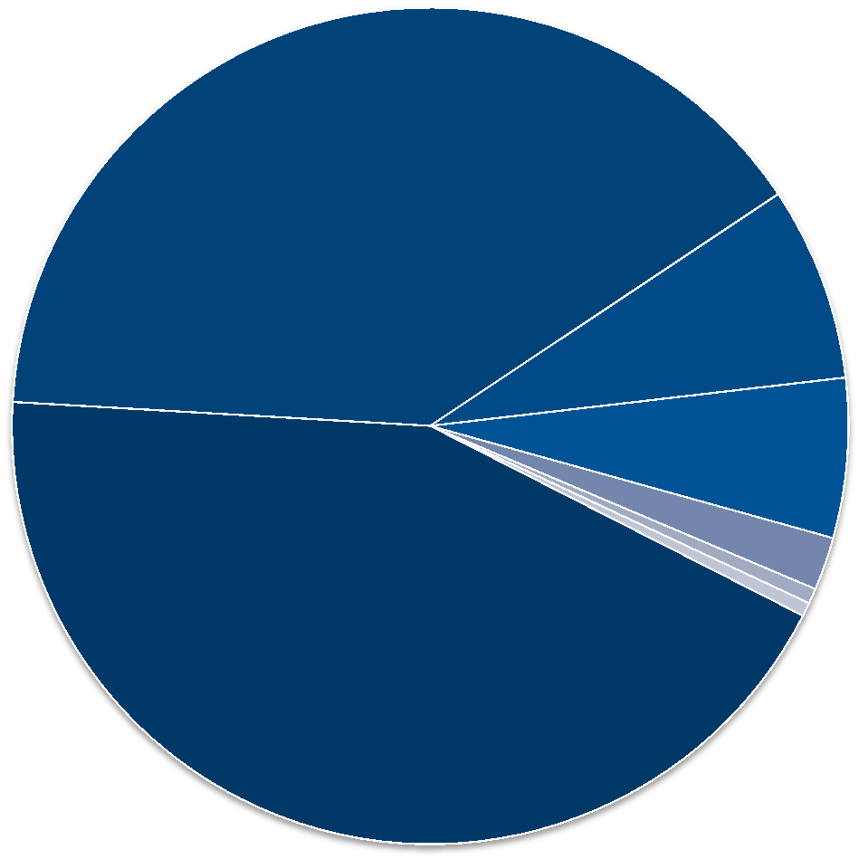 Tuloslaskelma 2013, menot Liikelaitokset yhdistelty, sisäiset erät poistettu Palvelujen ostot, 609 milj. e 40 % Henkilöstömenot, 665 milj.