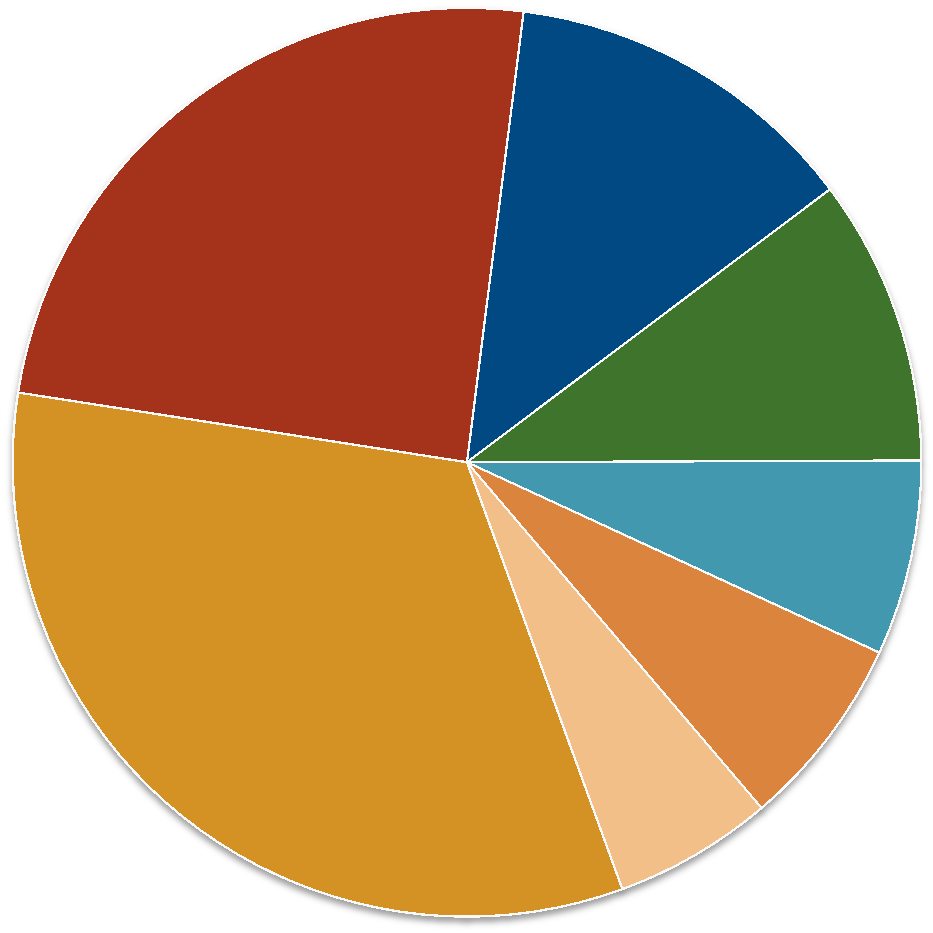 Toimintamenot ydinprosesseittain Ilman liikelaitoksia, muita taseyksiköitä ja konsernipalveluja Lasten ja nuorten kasvun tukeminen 25 % Ikäihmisten hyvinvoinnin ylläpitäminen 13 %