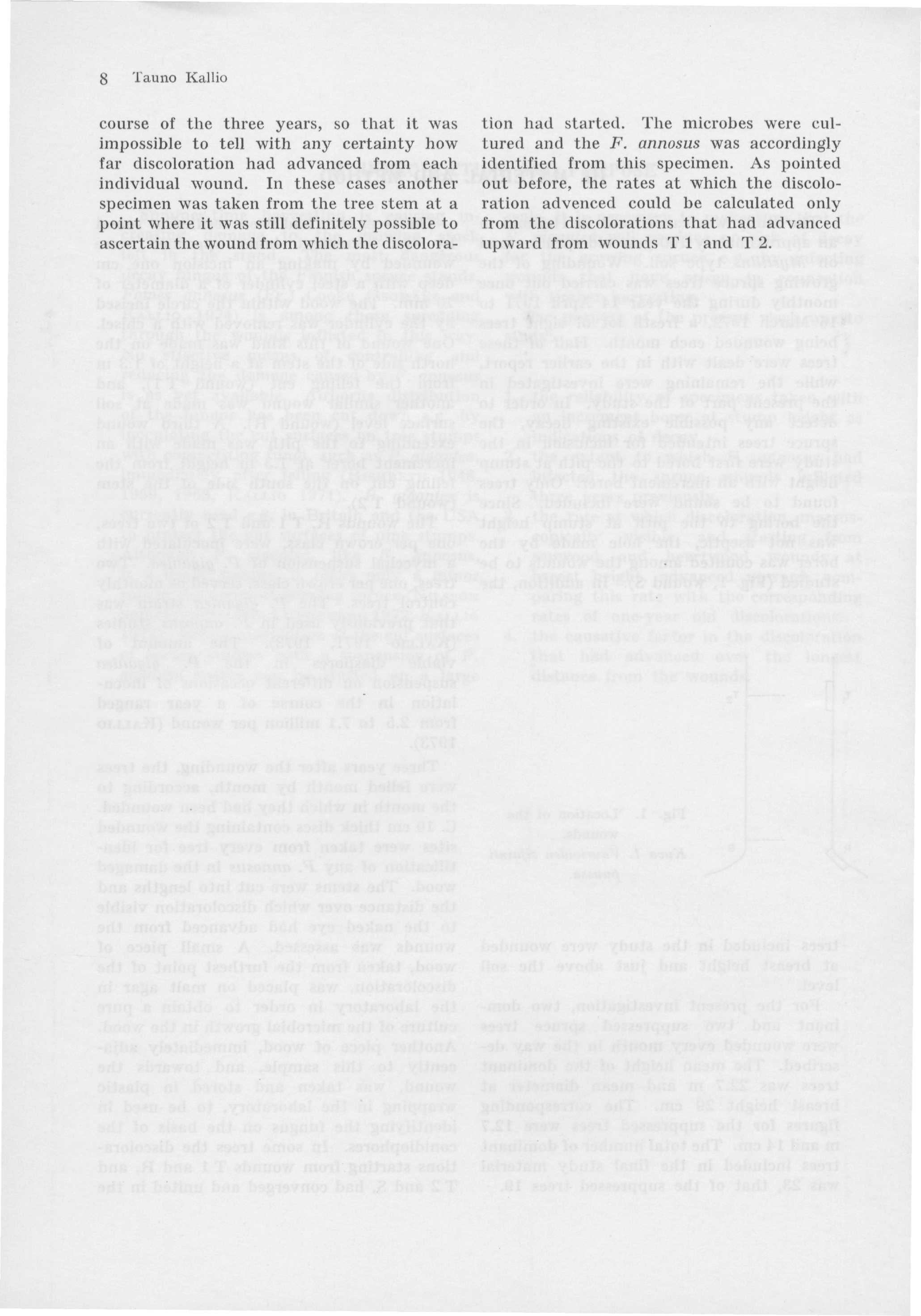 8 Tauno Kallio course of the three years, so that it was tion had started. The microbes were culimpossible to tell with any certainty how tured and the F.