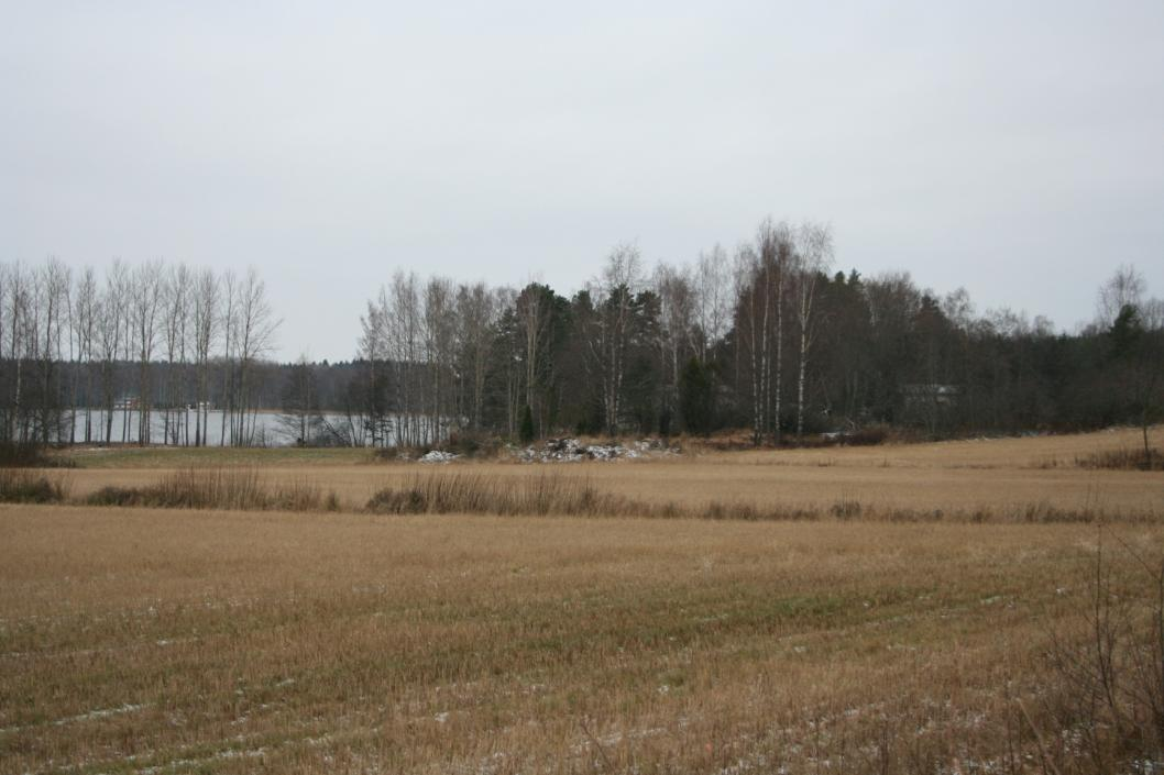 10 DG860:1 Metsäsaareke, jossa