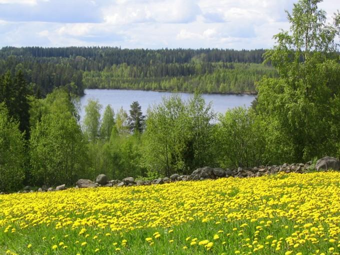 VEDET, METSÄT JA MÄET
