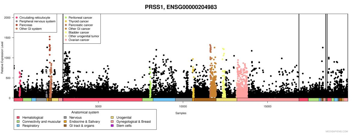9 Kuvio 2. PRSS1:den suhteellinen mrna ekspressiotaso eri kudoksissa. PRSS1 on 97 % identtinen PRSS2-alueen kanssa.