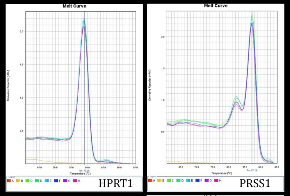 35 suoritetaan qrt-pcr-ohjelman lopussa normaali syklien päätyttyä (sivun 25 kuviossa 5. nähtävä Stage 3). Sulamiskäyräanalyysissä monistustuotteen lämpötilaa nostetaan 60 C:sta 95 C:een.