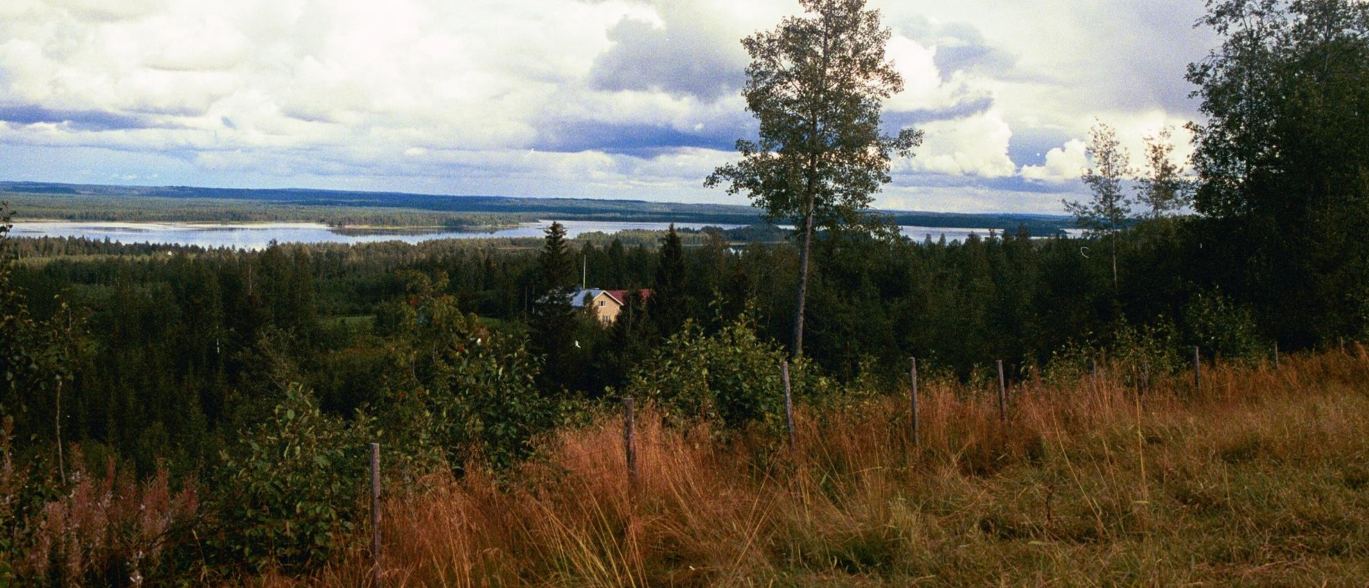 Rautavaara sekä osa Kaavia ja Sonkajärveä kuuluvat Vaara-Karjalan maisemamaakuntaa.