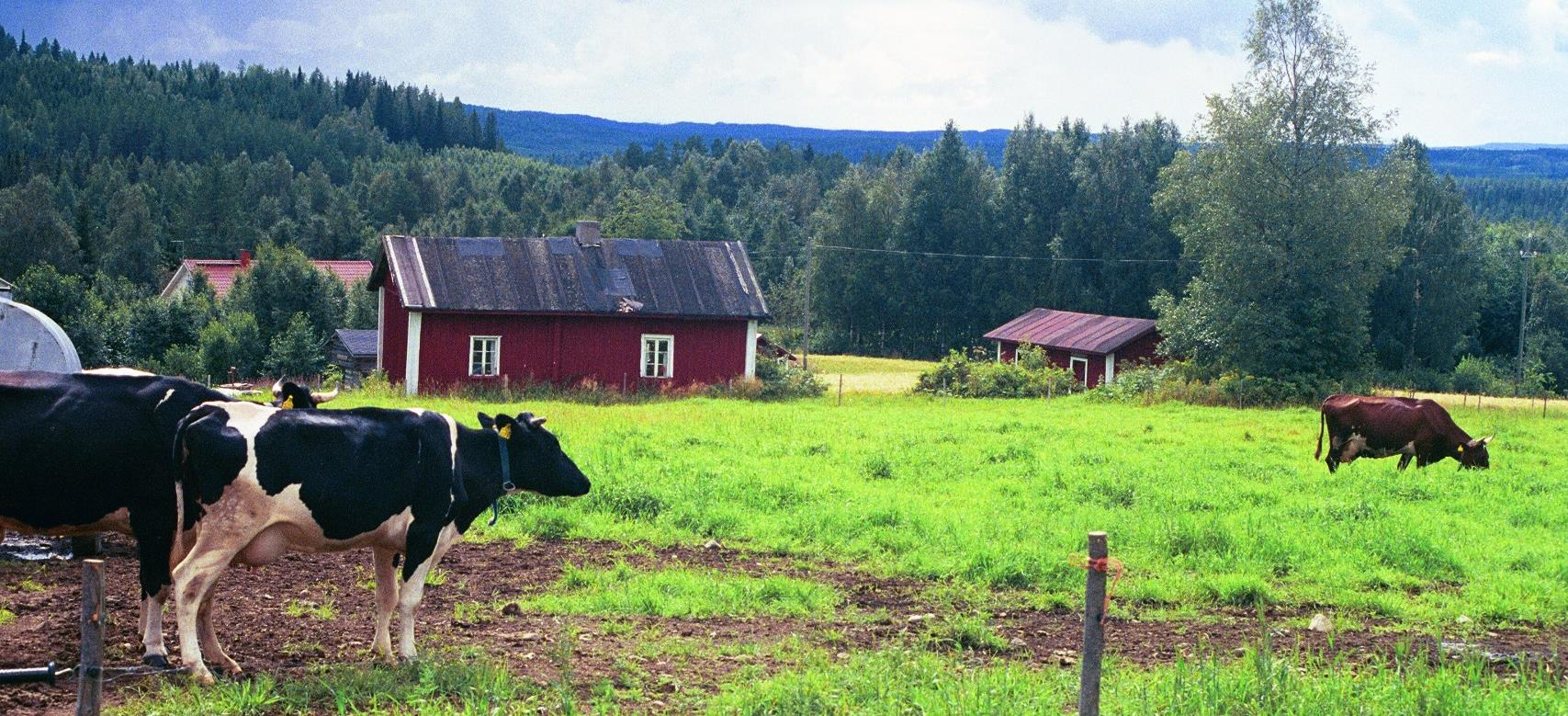 Seuraavat kohteet haja-asutusalueelta: - 2 maisemakohdetta - 1 jälleenrakennuskauden paikka - 9 koulua - 7 kämppää - 1 asuinpaikka 1920-luku - 4 maatilan päärakennusta Pohjois-Savon arvokkaiden