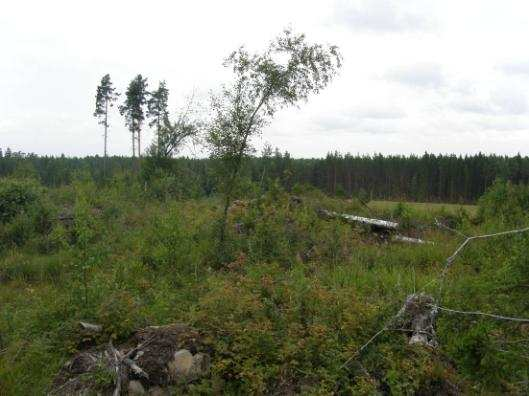 FCG Finnish Consulting Group Oy Arkeologinen inventointi 27 (48) Kolmas kiveys sijaitsee edellisestä noin 7 m itään. Röykkiön halkaisija pohjois-etelä -suunnassa on 3,5 m ja korkeus 0,4 m.