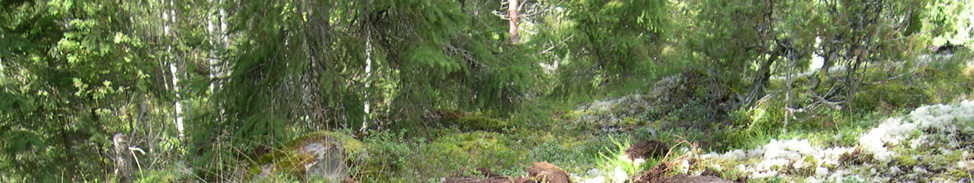 27 (2008). Kartoitustöiden painopiste oli suunnattu kesäksi 2008. Valitettavasti sääolot eivät suosineet kartoitustöitä ja se näkyi myös saavutetuissa havaintomäärissä. 10.