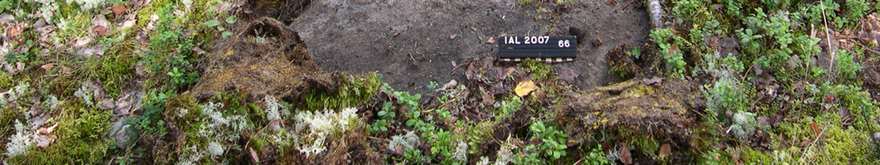 Tampereen seudun kallioperän paljastumalomake perustui suoraan Helsingin seudun Taajamakartoitus-hankkeen käyttämään perustutkimuspainotteiseen lomakkeeseen (lomake TAATA-hankkeen kotisivuilla