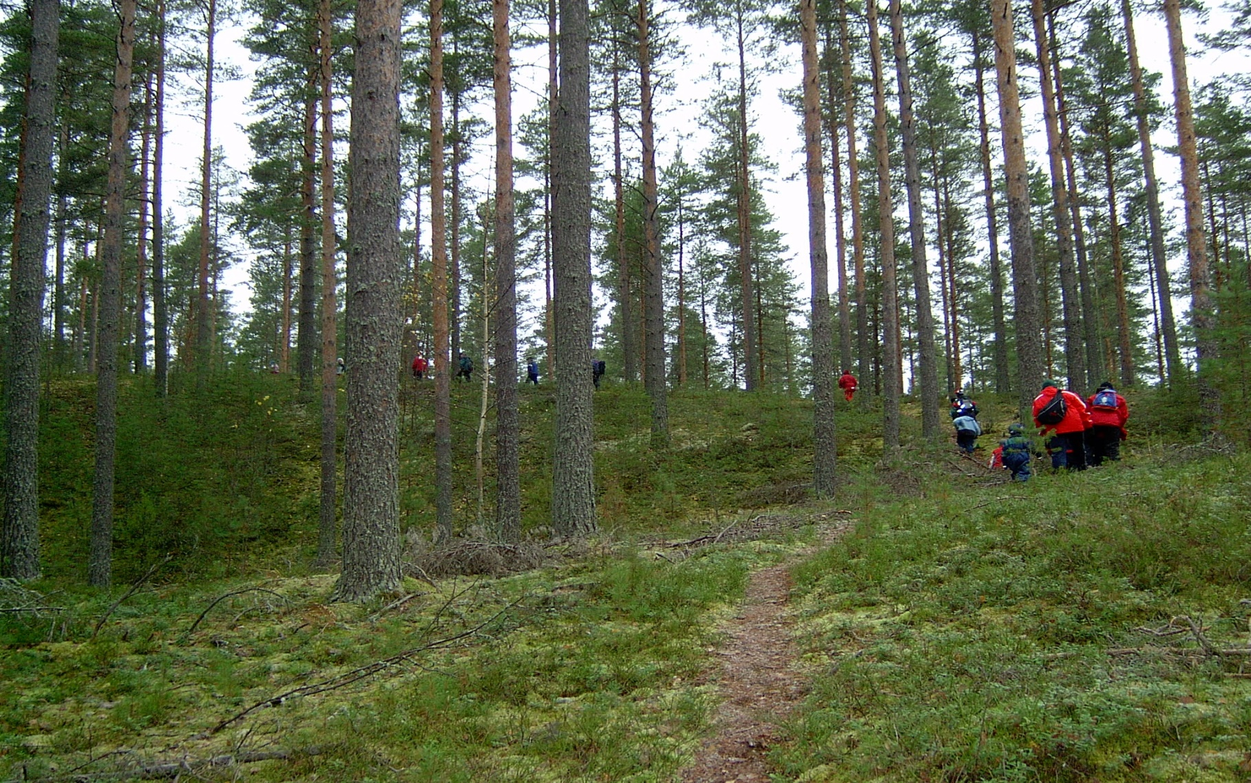 Ruskapatikointi: tutustutaan koko
