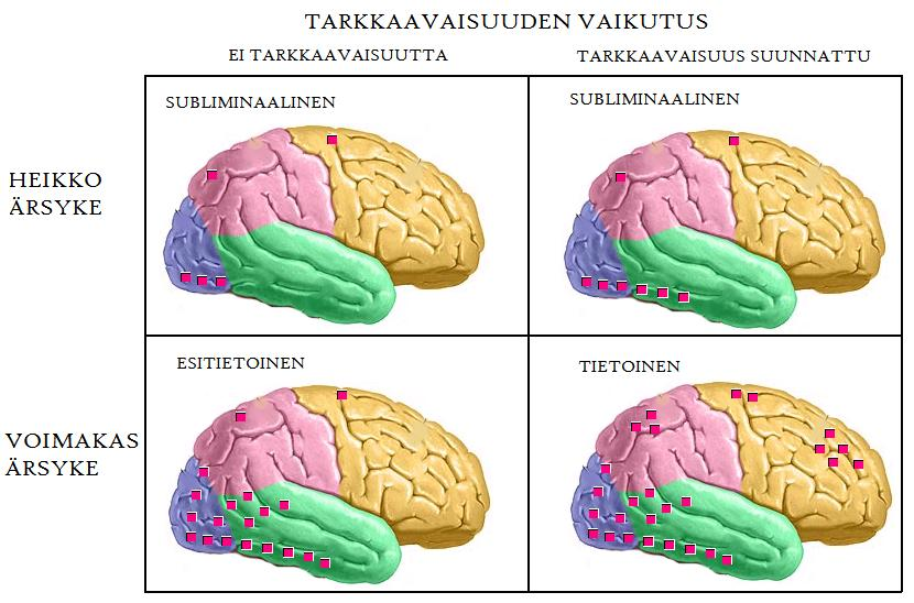 Inattentional blindness - tarkkaamattomuussokeus 1) Koehenkilölle esitetään lyhyesti (200 ms) risti keskelle tyhjää näyttöaluetta 2) Tehtävänä on arvioida, onko ristin vaaka- vai pystyviiva pidempi