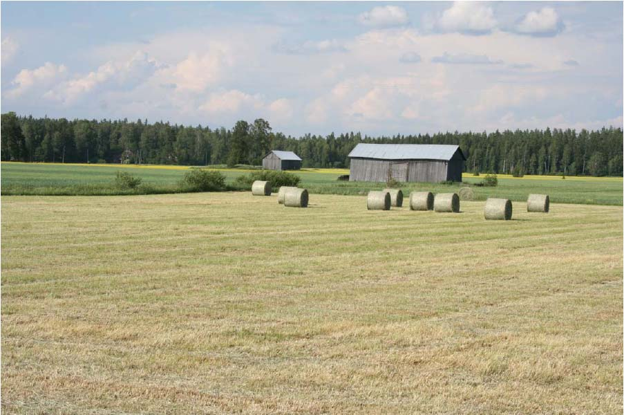 BIOKAASULAITOKSEN RAKENNUSHANKE Biovakka Suomi Oy