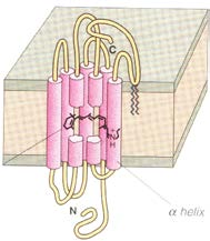 for developing novel engineering