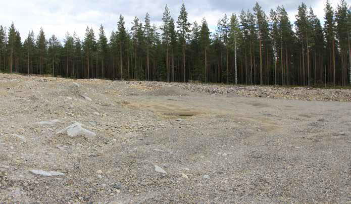 Reunavyöhykkeillä on harvahkoa puolukkatyypin (VT)