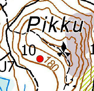 Turbiinipaikka 10 Harvennettu kanervatyypin (CT) kuivan ja puolukkatyypin