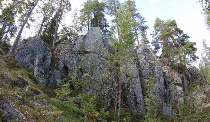 Puusto on kallion päällä pohjoisosassa luonnontilaisen kaltaista, heikkokasvuista männikköä. Aluskasvillisuudessa vallitsevat muun muassa kanerva, puolukka ja variksenmarja.