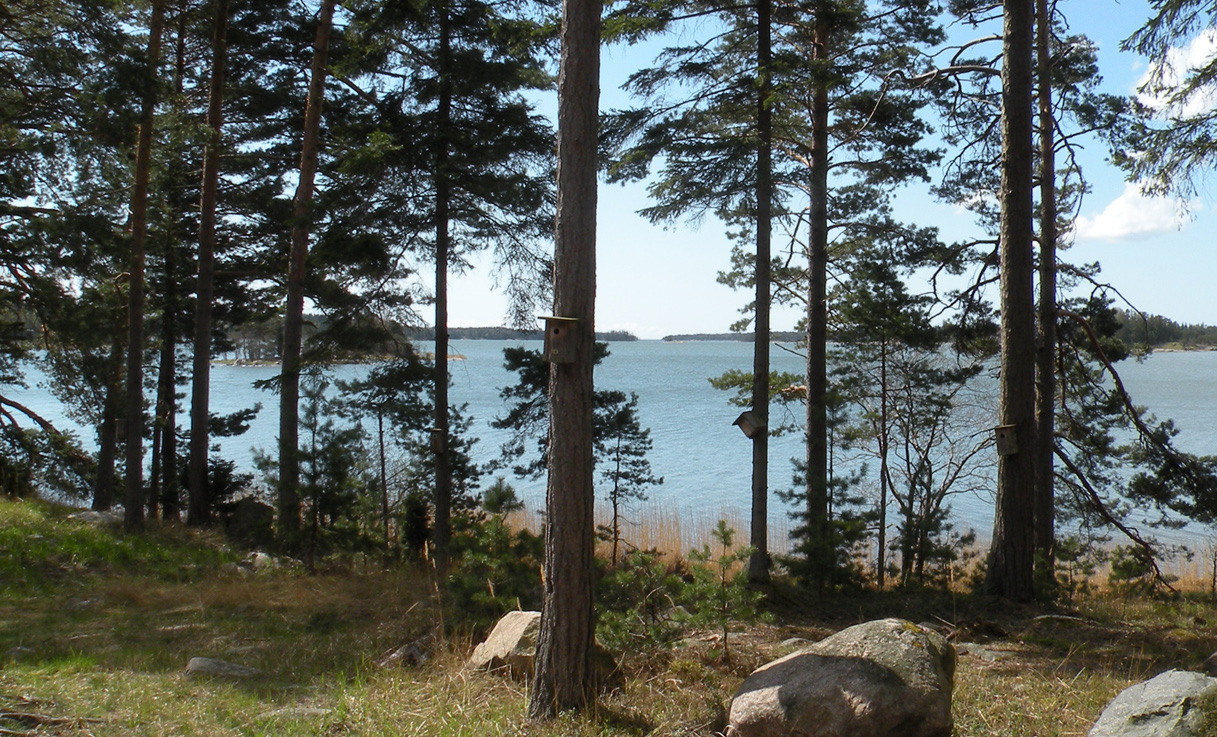 Inkoon kunta Hälludden ranta-asemakaava INGÅ KOMMUN INKOON KUNTA HÄLLUDDEN STRANDDETALJPLAN HÄLLUDDEN RANTA-ASEMAKAAVA BESKRIVINING AV STRANDDETALJPLAN RANTA-ASEMAKAAVASELOSTUS 7.4.