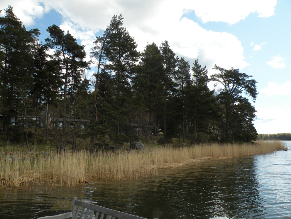R N& NATUR LUONTO Öppet berg på krönområde.