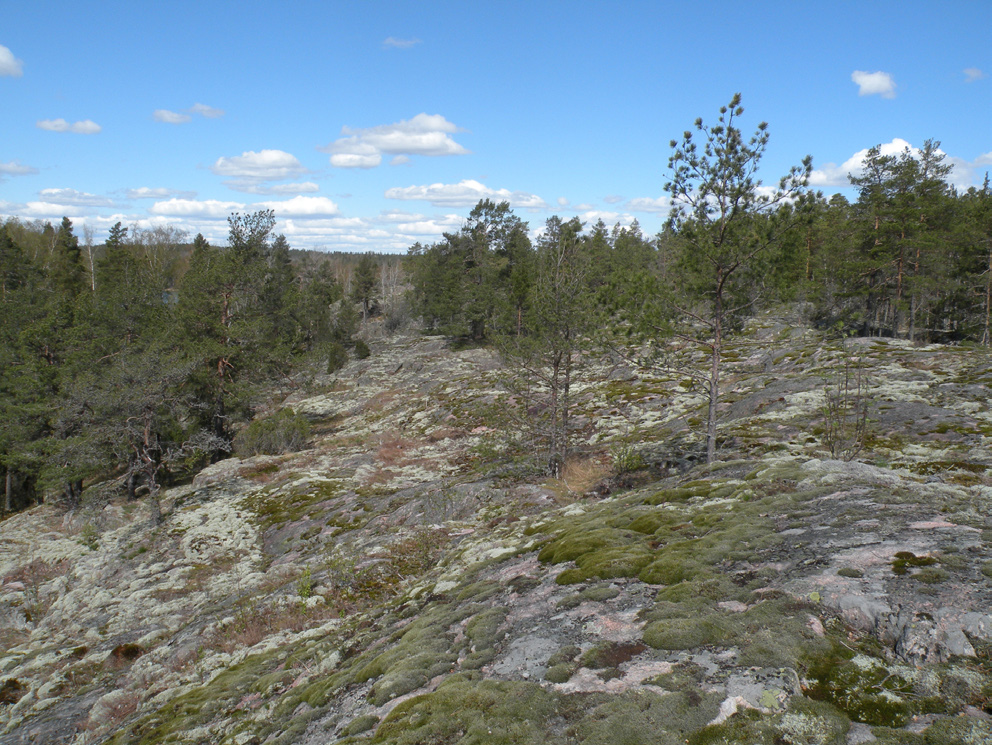 pohjoisosassa.