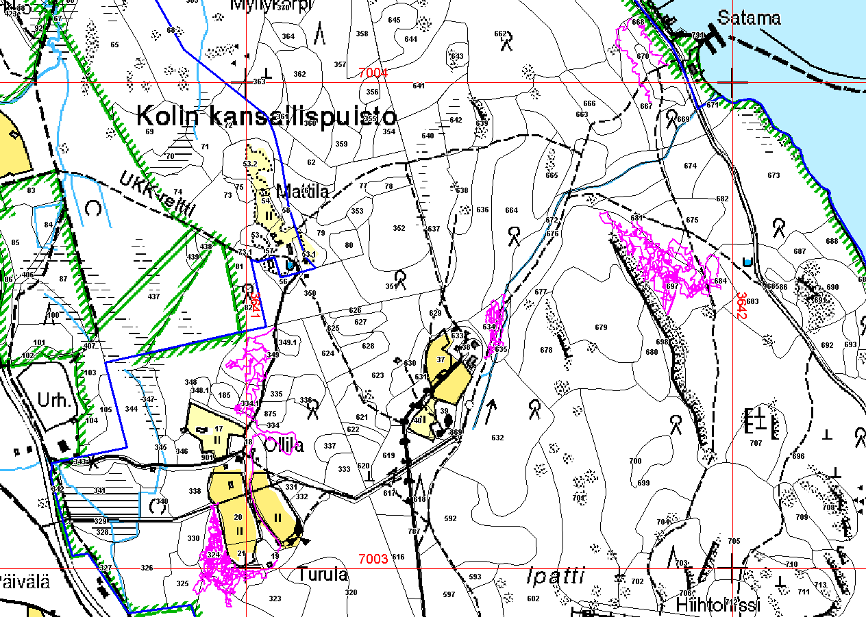 Liite 1. Sienikartoitusten reitit maastossa.