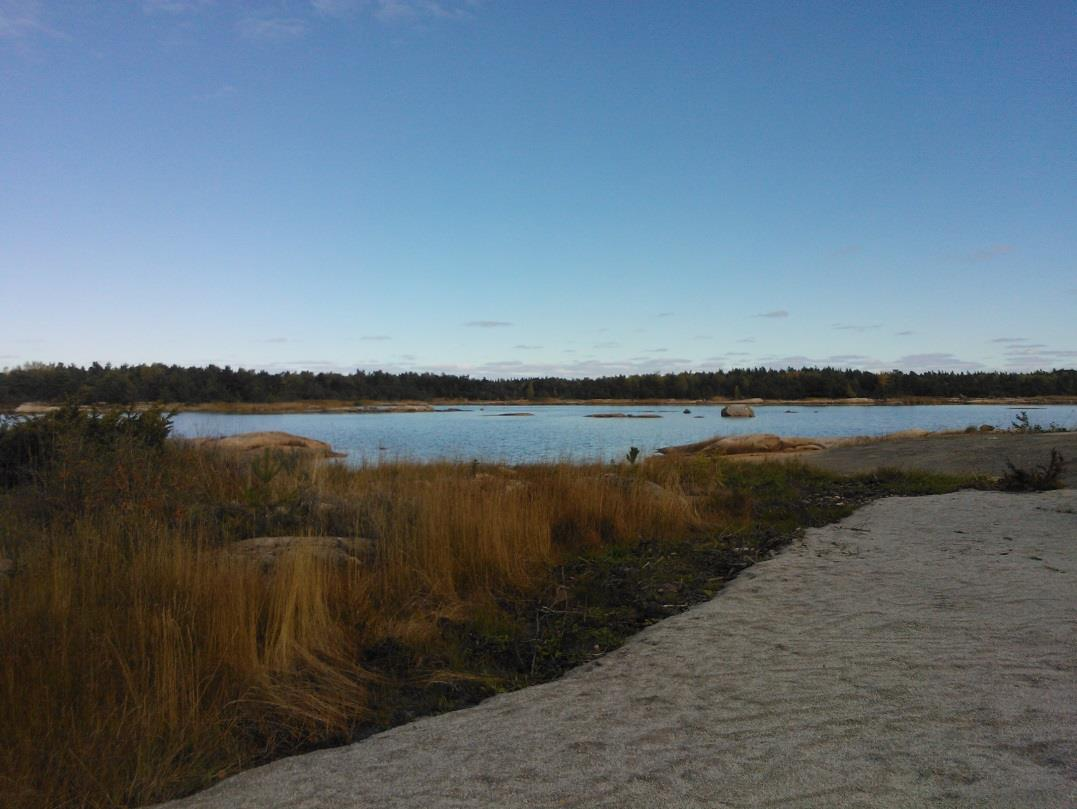 12 Kuva 4: Piha-alue ja nykyinen loma-asunto etelästä. Emätila ja rakennusoikeus Kuva 5: Liesluodonlahti kiinteistöltä pohjoiseen.