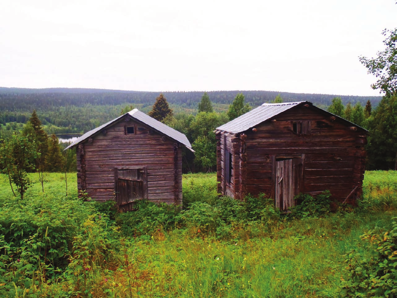 Metsähallitus,