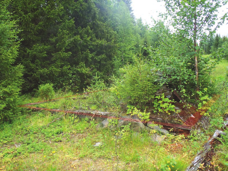 Lisä etoja Aarnio Jouni 2001. Maankäytön historiaa Syö een alueella. Metsähallituksen luonnonsuojelujulkaisuja sarja A no 133.