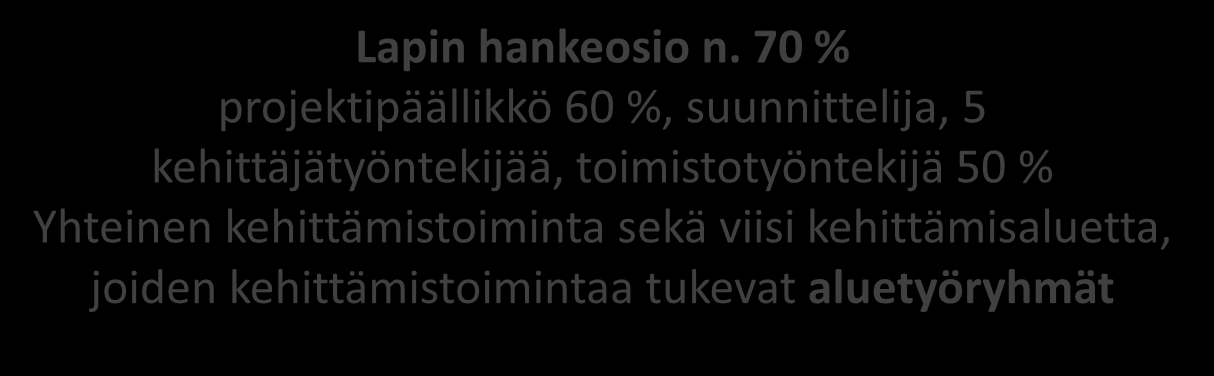 n. 30 % projektipäällikkö, 2