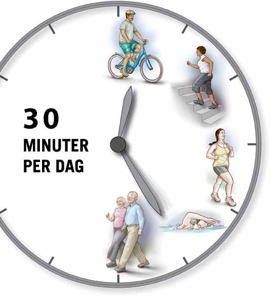 Pysy liikkeessä Liikunta auttaa pudottamaan painoa, hyödyntämään paremmin insuliinia ja alentamaan verensokeria MINUUTTIA PÄIVÄSSÄ