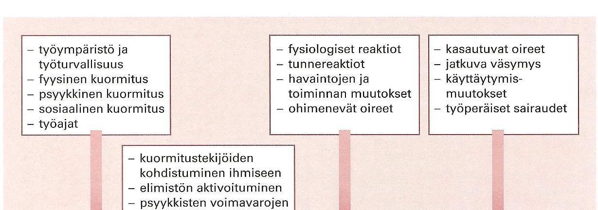 24 Kuormittuminen voi olla terveyden kannalta joko myönteistä tai kielteistä. Lisäksi kuormittuminen voidaan jakaa lyhytkestoiseen ja pitkäkestoiseen kuormittumiseen.