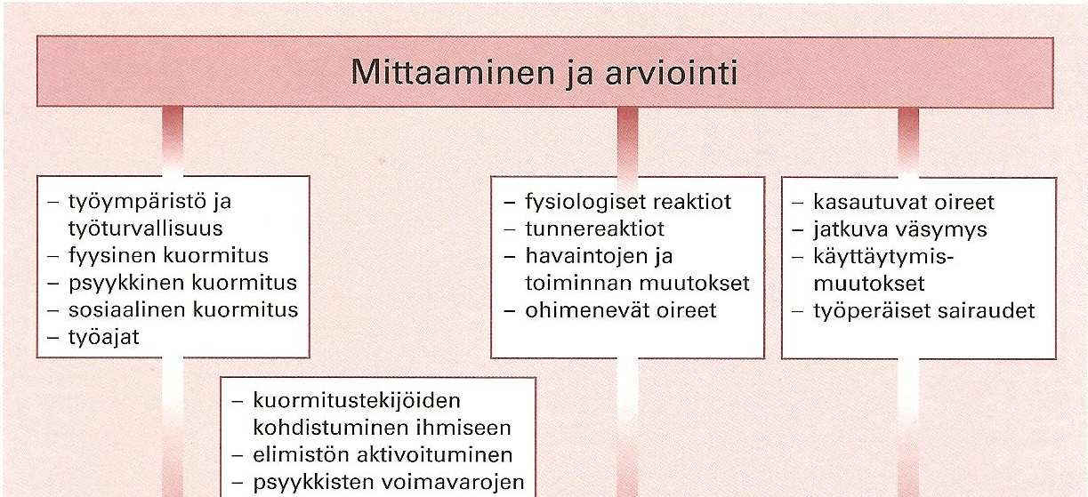 27 mien havainnoinnissa ja niihin puuttumisessa, sekä työhön liittyvien terveysriskien ja sairauksien ehkäisemisessä. (Kaski 2012, 29.) Kuva 3.