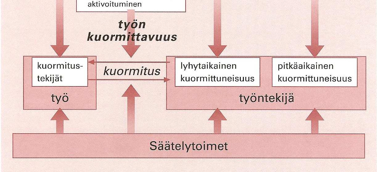 3 Työterveyshuollon käyttämät työpaikkaselvitystyypit Työpaikkaselvitys on lailla määrätty työterveyshuollon toimenpide, jonka tarkoituksena on yrityksen tai organisaation työterveyshuollon