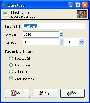 Kuva 5. Uuden tason luominen Kuva 6. Uuden tason optiot: tason koko on oletuksena edellisen tason koko, mutta sitä voi toki muuttaa jos katsoo sen aiheelliseksi.