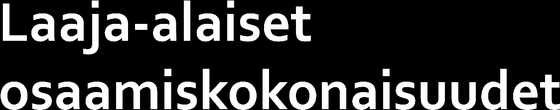 Ajattelu ja oppimaan oppiminen (L1) Kulttuurinen osaaminen, vuorovaikutus ja ilmaisu (L2) Itsestä huolehtiminen ja arjen taidot (L3) Monilukutaito (L4)