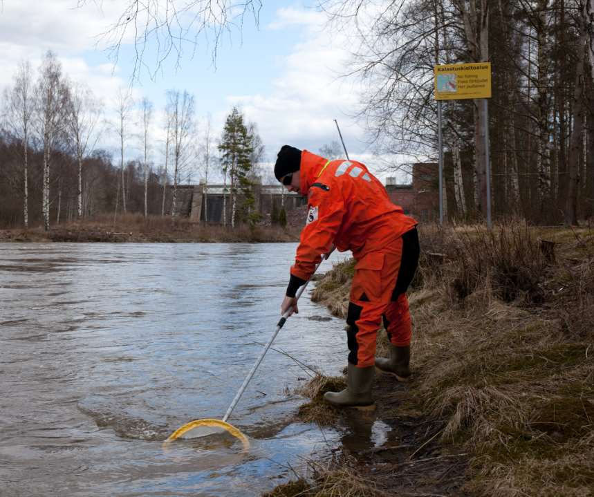 Kokemäenjoen
