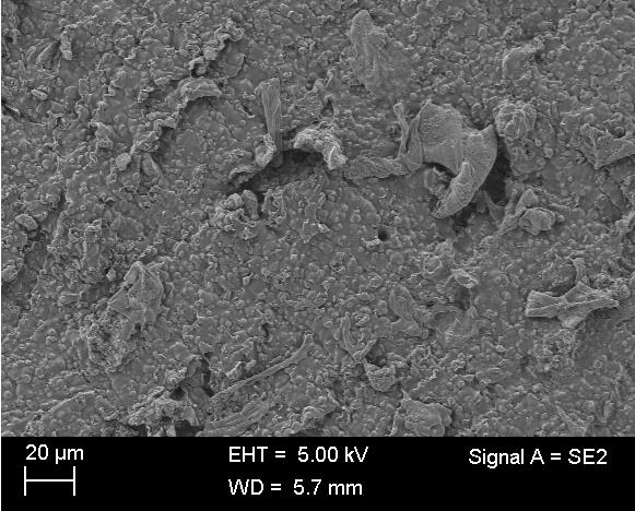 134 MMT-näyte on esitetty kuvissa 82 ja 83. Fillerin partikkelikoko oli ~ 30 µm. Kuvista nähdään, että fillerikoko on pysynyt samana, ja partikkelit ovat kiinteitä kappaleita.