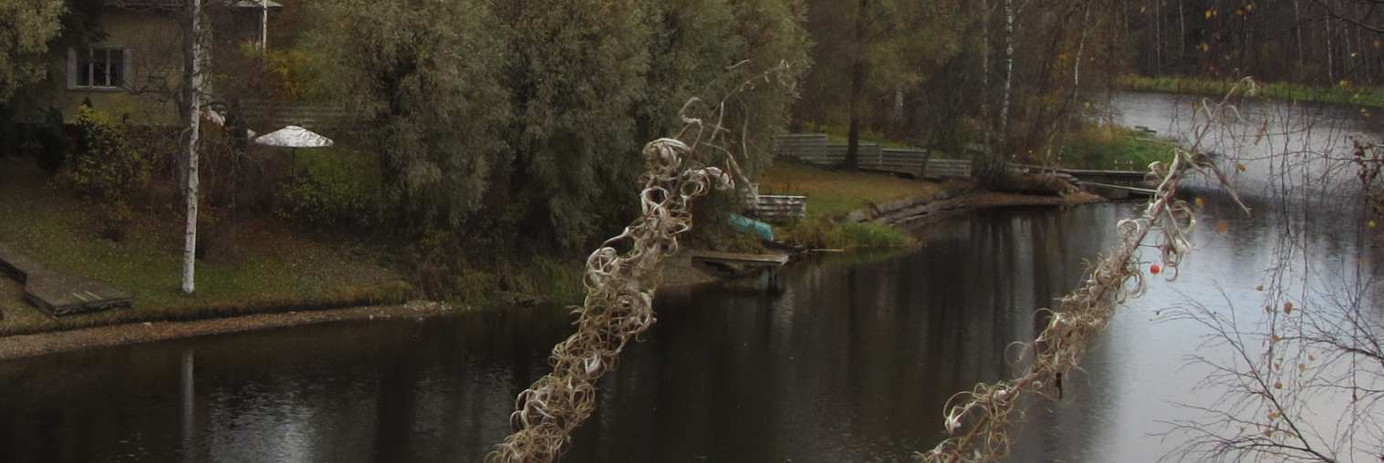 tai Natura 2000 -verkostoon kuuluvia alueita.