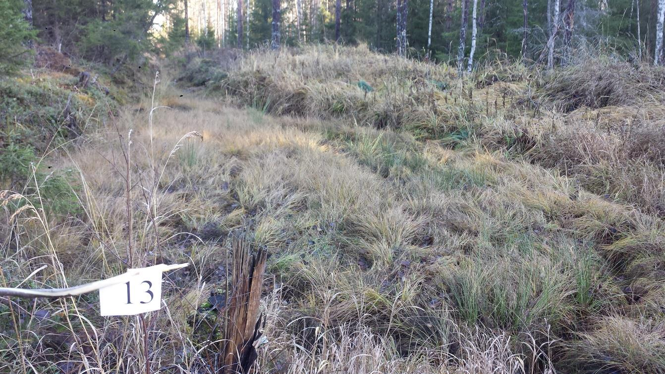 18 Kuva 4. Täysin täyttynyt laskeutusallas Uusikylässä. (Harju 2015.