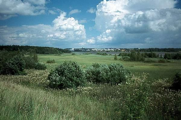 8 Näkymä Tuusulanjärven pohjoispään Natura-alueelle Vanhankylänlahden luhdan rantatörmältä.